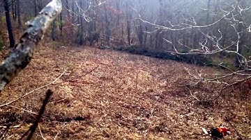 DIY - How to Make a Food Plot - Part 2 (post clearing)