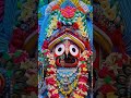 Jagannath #new #love #shorts #youtubeshorts #trending #viralvideo #viral #foryou #india #song #god