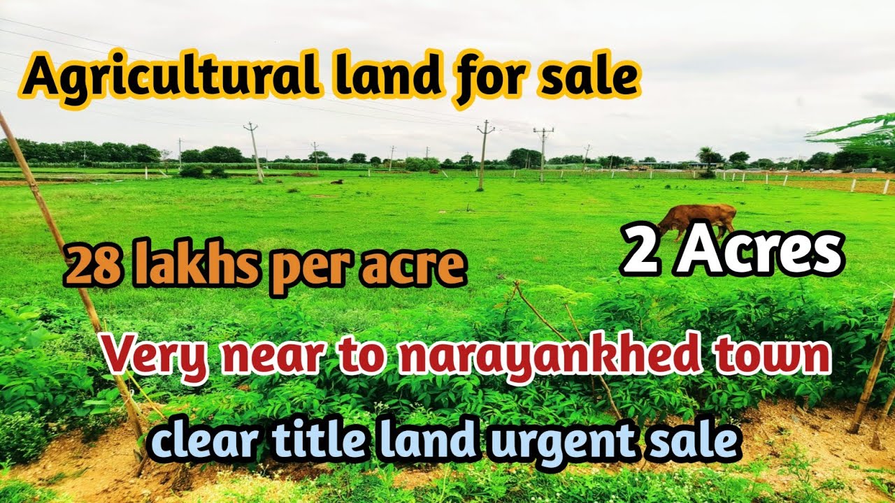 Agricultural land for sale 2 Acres land near to narayankhed
