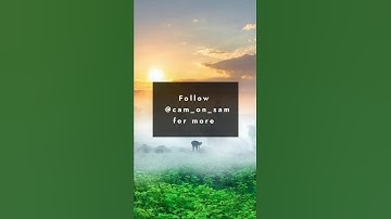 Picsart Latest Photo Editing Tutorial | Nature Photography Tips #shorts