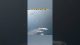 Russian Su-30Sm Attacks Ukrainian Sea Drones