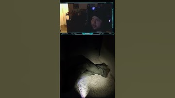 The Monkey paw hates me..... | #pandairlgaming on #Twitch