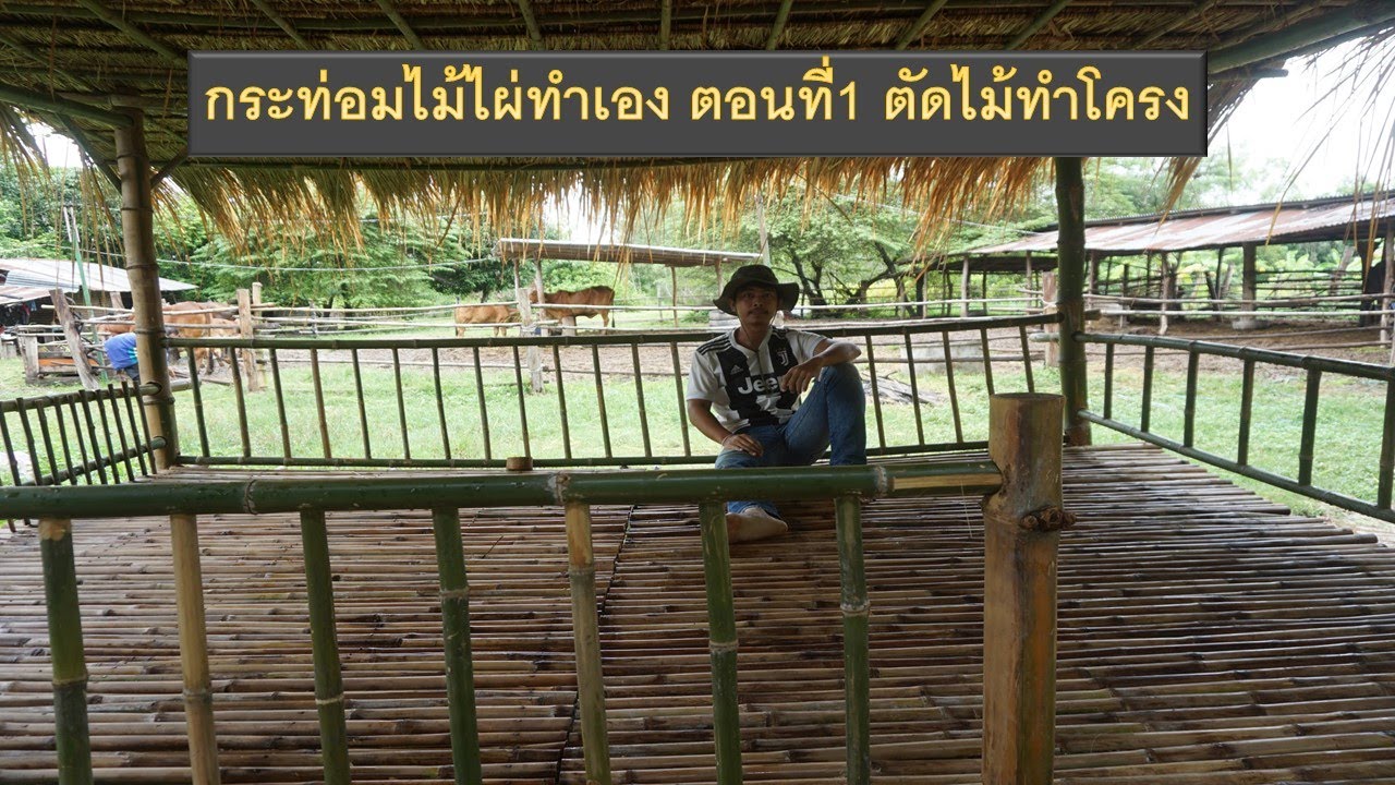 กระท่อมไม้ไผ่ทำเอง ตอนที่1:ตัดไม้ไผ่ทำโครงกระท่อมไม้ไผ่ :Build Bamboo Hut Thailand