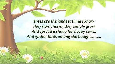 Trees are the kindest things I know, A Poem By Harry Behn, Explained By Anju, "Never Stop Learning"