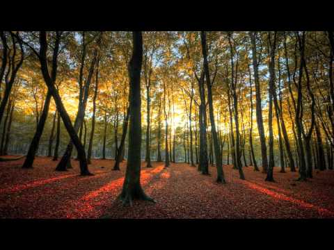 Linnea Olsson - Giddy Up (Vekta Remix)
