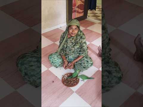 Eid Mubarak Family ❤ #indianvloggerarbaaz #eidmubarak #familyvlogs #minivlog