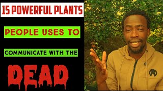 15 powerful plants that allows to communicate with ancestral spirits