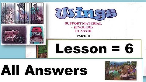 Wings Class 3 Part 2 Lesson 6 Activity 1 - 7 and Self Check Activity 1 - 8 Answers English WB