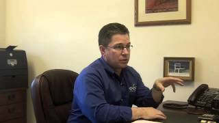 Prevent Hornets Wasps Bees Ocon Pest Control Tips