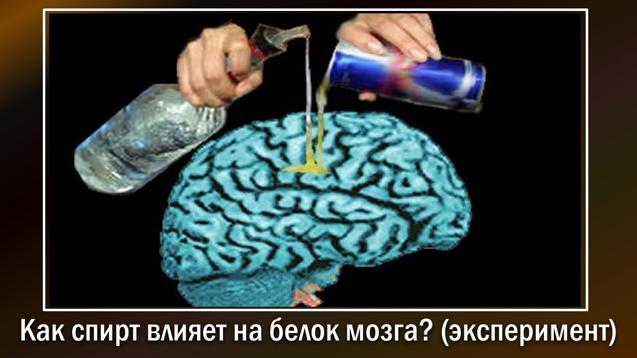 Как Спирт влияет на Белок Человеческого Мозга? (эксперимент) - YouTube