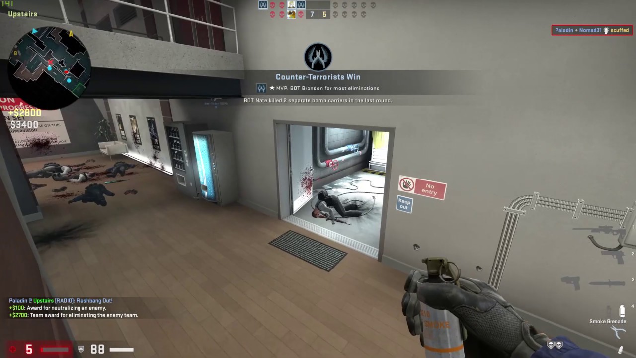 Flash Kill CSGO