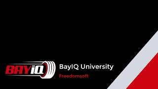 BayIQ Integration with Freedomsoft's TireShop Software screenshot 1