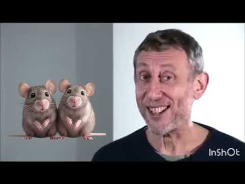 Nice Mice Viral Meme