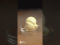 Liquid Nitrogen Ice Cream Craze