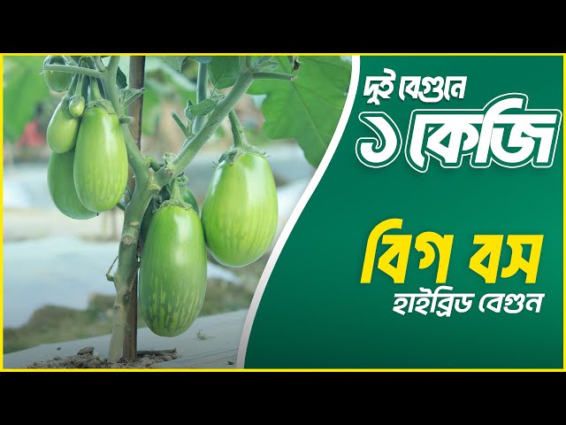 Rus etuk BBW mmf porno