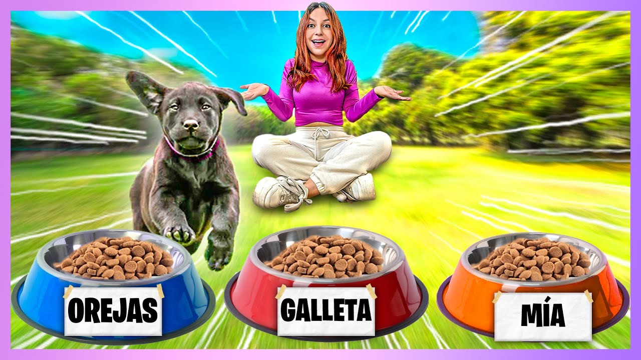 MI  NUEVA PERRITA ELIGE SU NOMBRE  😻 *La ADOPTAMOS*