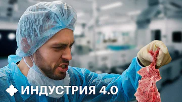 Откуда поставляют мясо в Россию