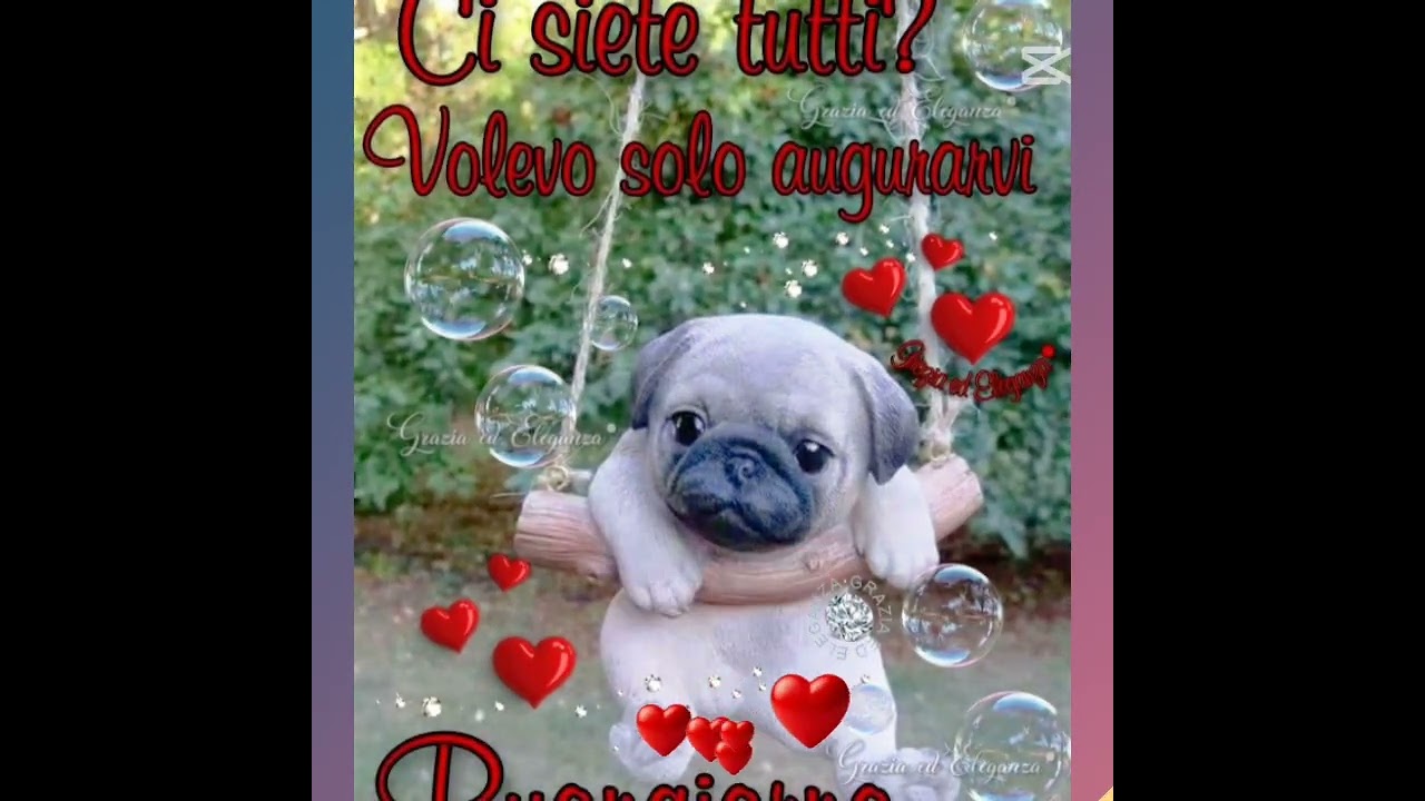 #buongiorno#buon#mercoledi#10 settembre 💞