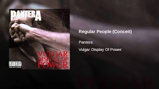 Pantera - Regular people  (instrumental)