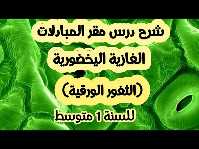 شرح درس مقر المبادلات الغازية الخضورية ( الثغور الورقية ) للسنة 1 متوسط