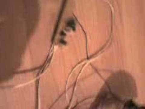 Thermo electric generator powering a radio with usb charger