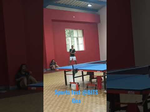 Sports fest Bits