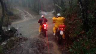 PC070131.AVI