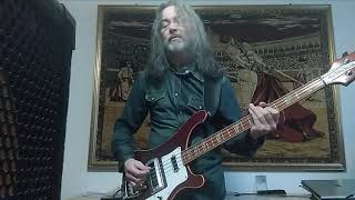 LE ORME Uno Sguardo Verso Il Cielo - Bass Cover