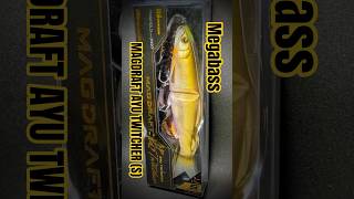 【バス釣り】箱出し⇒即☄一撃😎巻きのソフトビッグベイト｜MAGDRAFT 鮎 AYU TWITCHER(S)