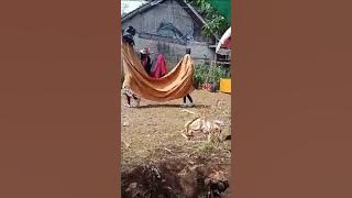 tari barong putra amarta