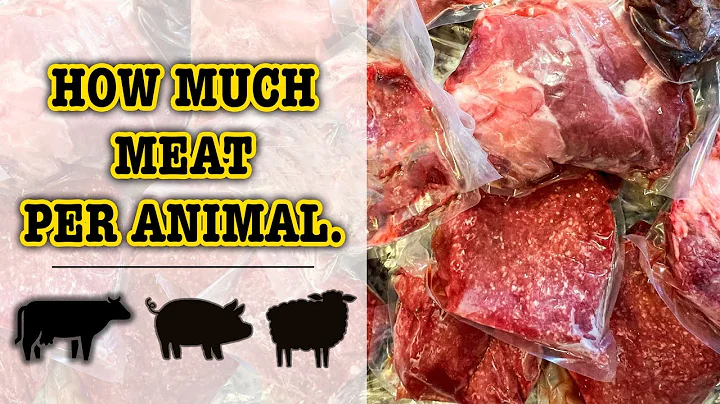 WHAT IS THE BEST ANIMAL TO RAISE FOR MEAT? | COWS, SHEEP, PIGS CHICKENS HOW MUCH MEAT beef lamb pork - DayDayNews