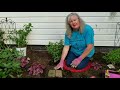 How to Level a Birdbath and Turn it Into a Fountain