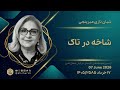 شاخه در تاک 