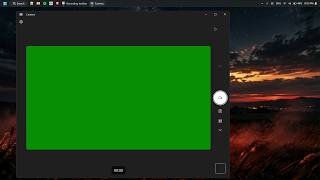 Windows 11 Camera Green Display Issue screenshot 3