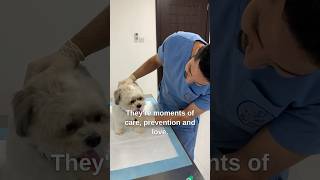 Dr. Dolittle Vet Clinic, we make wellness check routines easy and enjoyable. #petcare #dogcare #duba