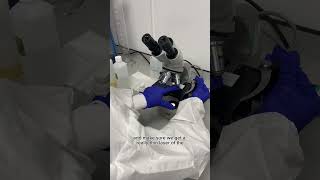 Spf Under The Microscope