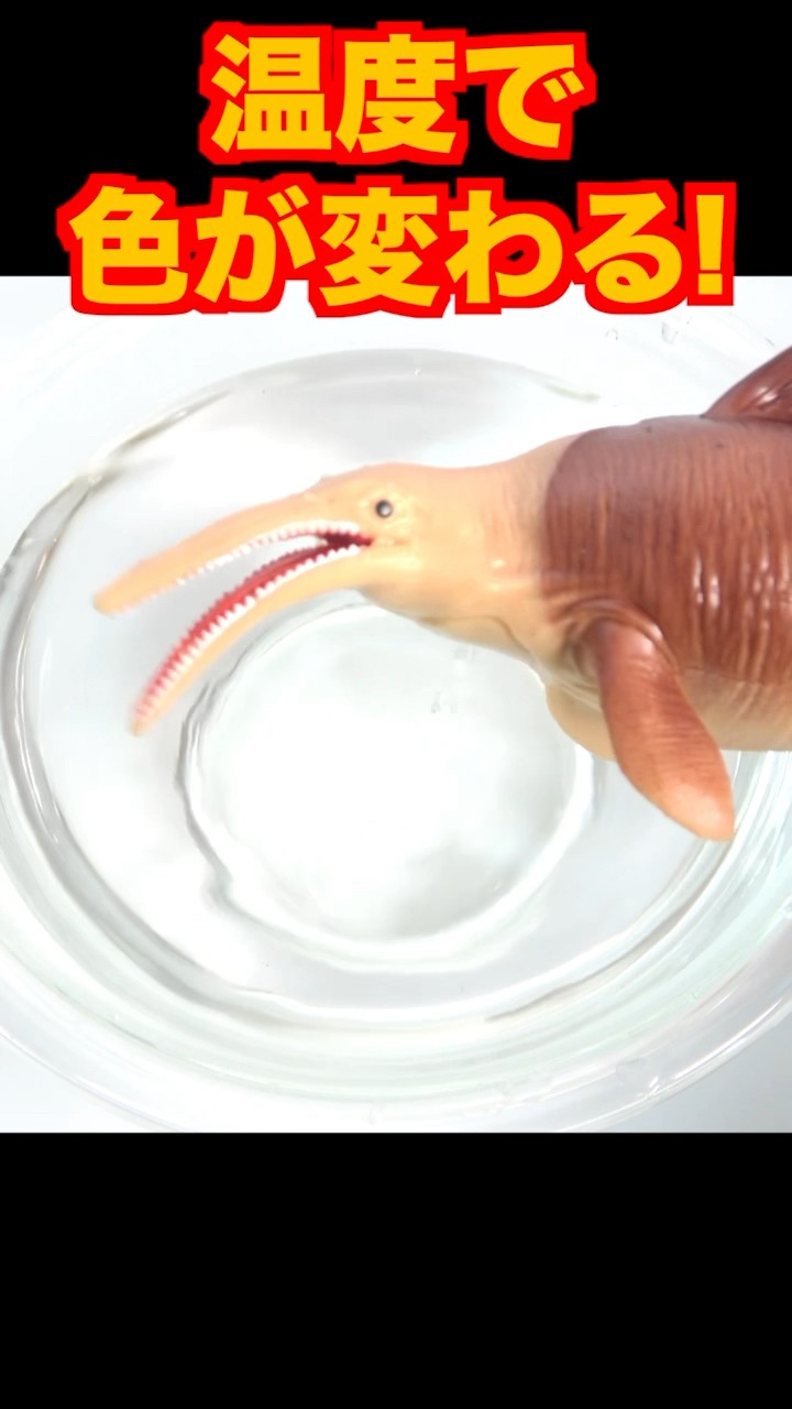 SEA DINOSAURS & Co. Complete set Squishy Figure short DeAgostini