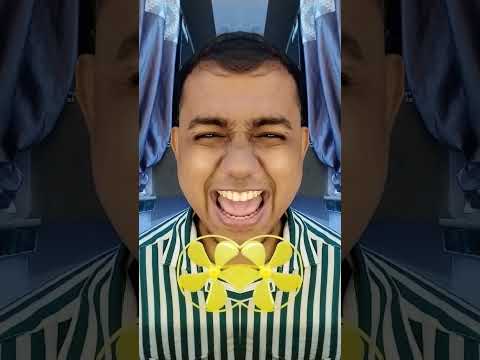 ASMR AMERICA S ORIGINALDUBBLE BUBBLE GUM 3 FRUIT FLAVORS Funny Duet