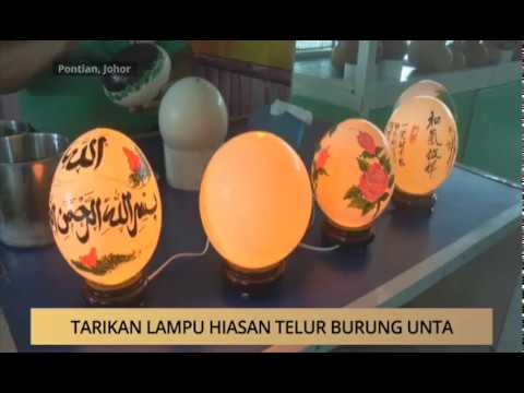 Awani Johor Tarikan Lampu Hiasan Telur Burung Unta Youtube