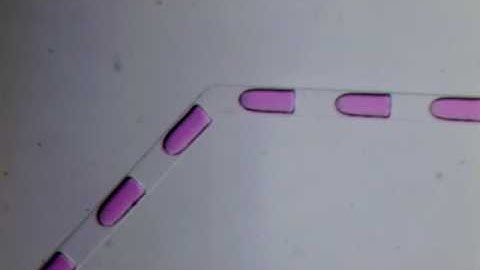 Geometry mediated microfluidic droplet fission
