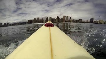 Mac Demarco-Ode To Viceroy (unoffical music video)