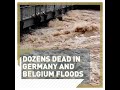 Dozens dead and many missing after floods hit Germany and Belgium