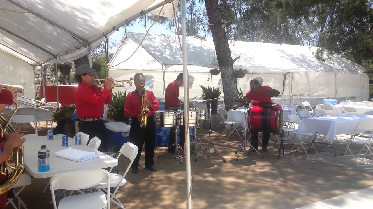 Tamborazo amanecer el novillo despuntado YouTube