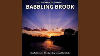 Brookside Reflections