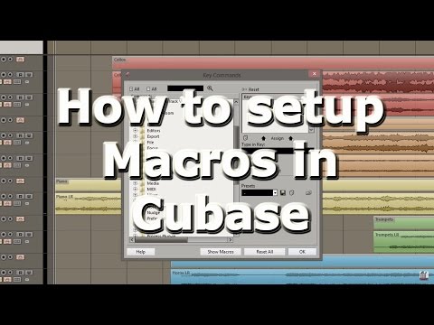 Setting up Macros
