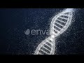 Plexus DNA Motion Graphics