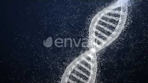 Plexus DNA Motion Graphics