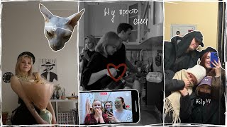картинка: mini vlog: eleven часть/снова они