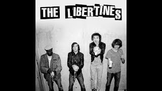 The Libertines - Don't Look Back Into The Sun (Pete Doherty)