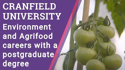 Environment and Agrifood careers with a postgraduate degree from Cranfield
